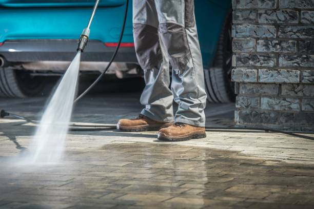 Best Roof Cleaning and Mildew Removal in Ephrata, PA